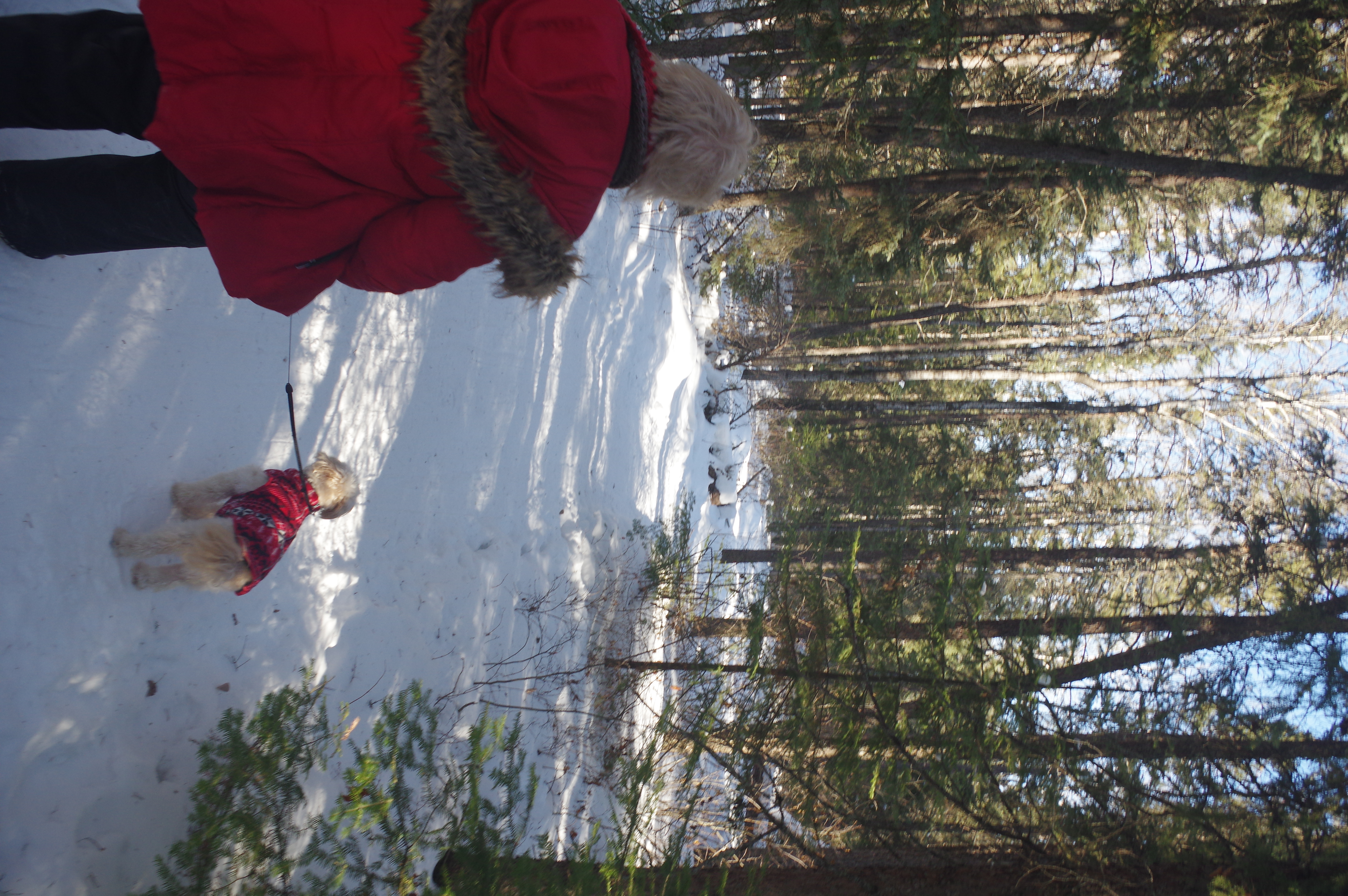 The trail into Forgotten lake in Ontario.