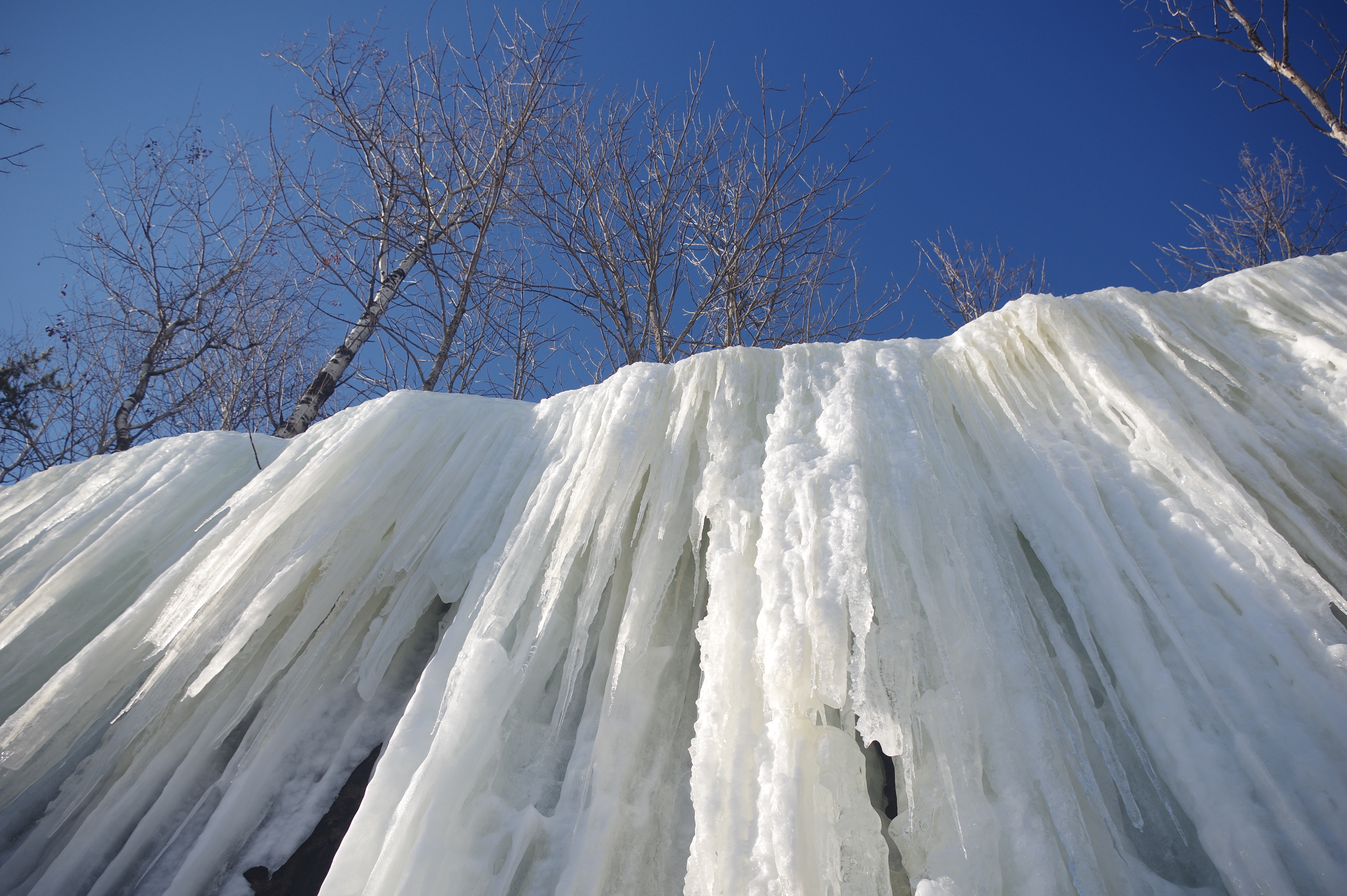 Looking straight up the wall of ice. 