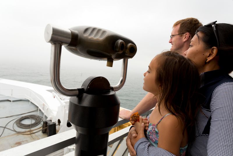 a family looks out over the rail of the MS Chi Cheemaun ferry at the misty water around them.