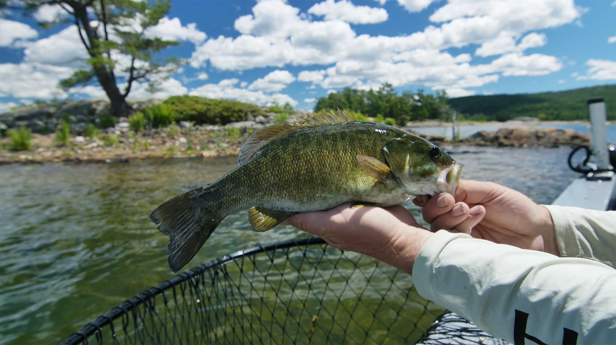 bass fishing lake huron