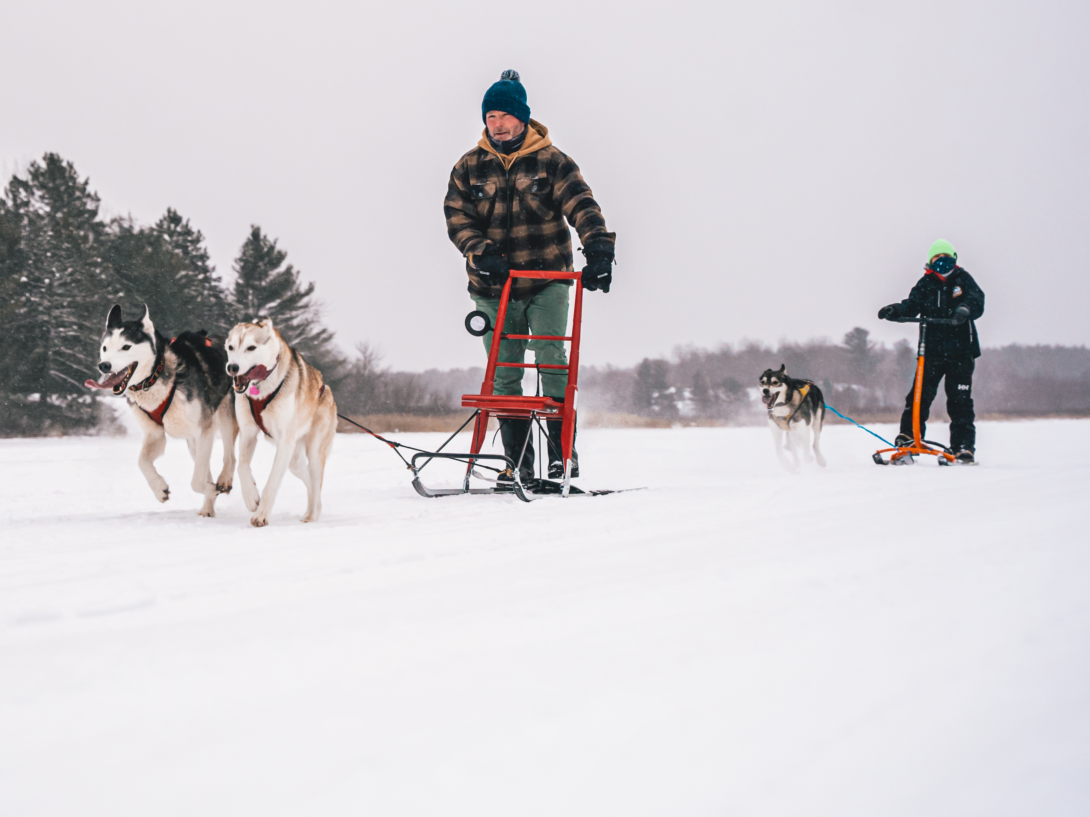 A man dressed in winter clothing leading a team of two dogs on a dogsled.