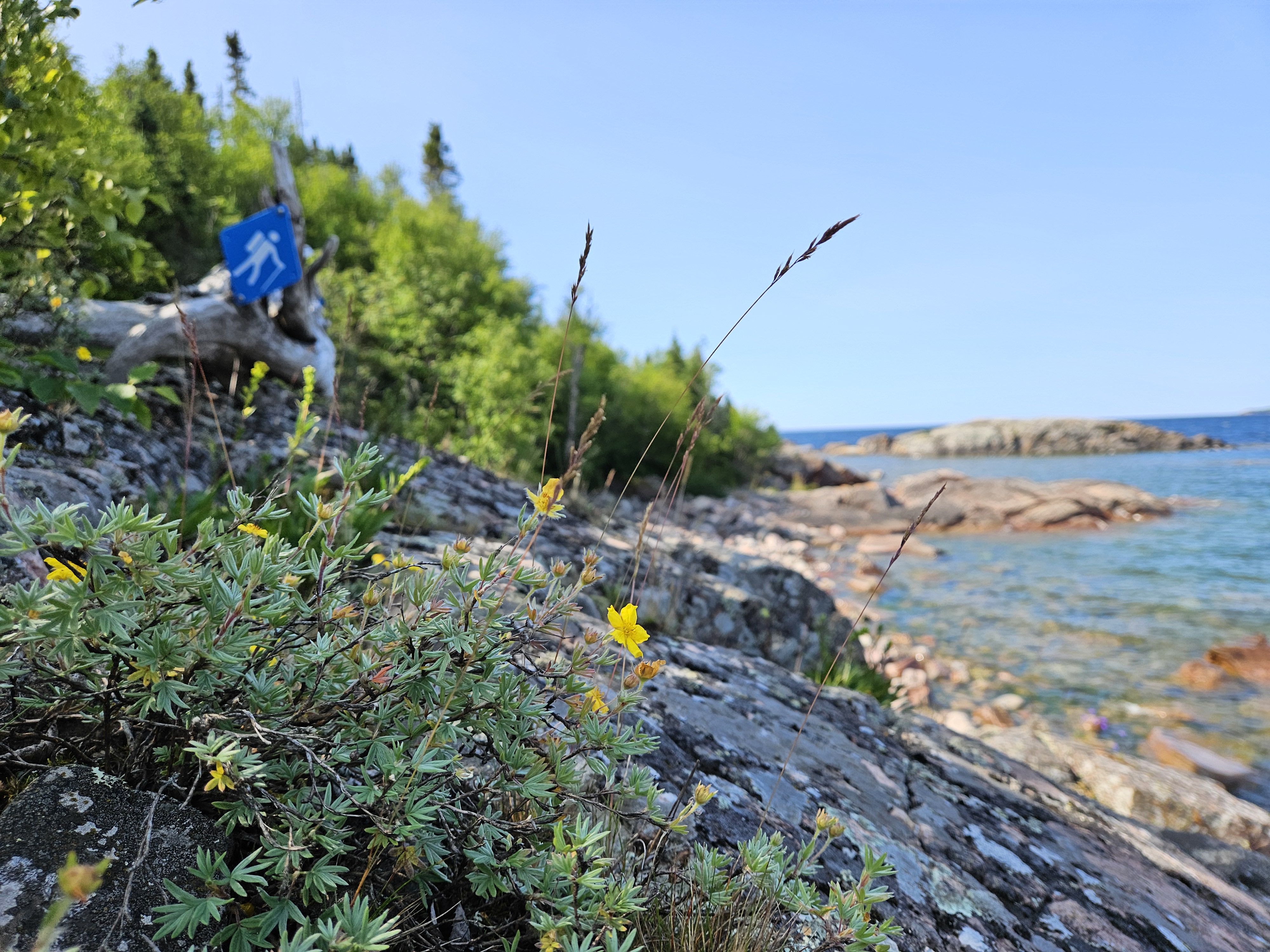 Take a stroll by Lake Superior on the Casque Isles Backpacking Trail • Credit: Matt Borutski | Casque Isles Hiking Club