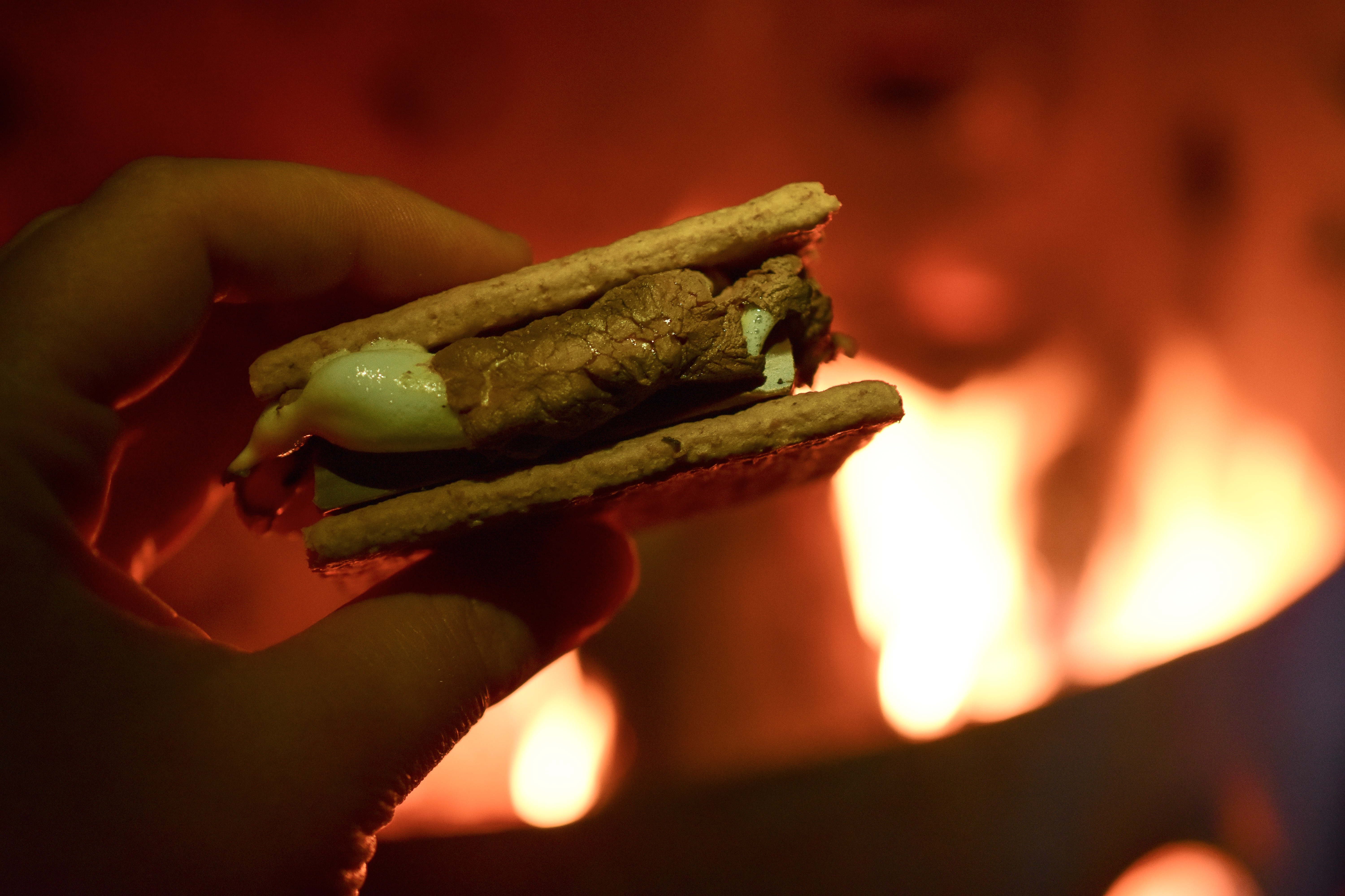 Summer campfires with s’mores at White Lake Provincial Park campground. • Credit: Ontario Parks