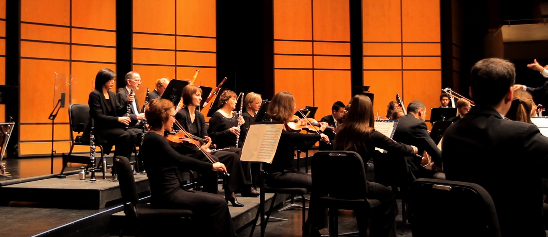 Members of the Thunder Bay symphony, performing onstage.