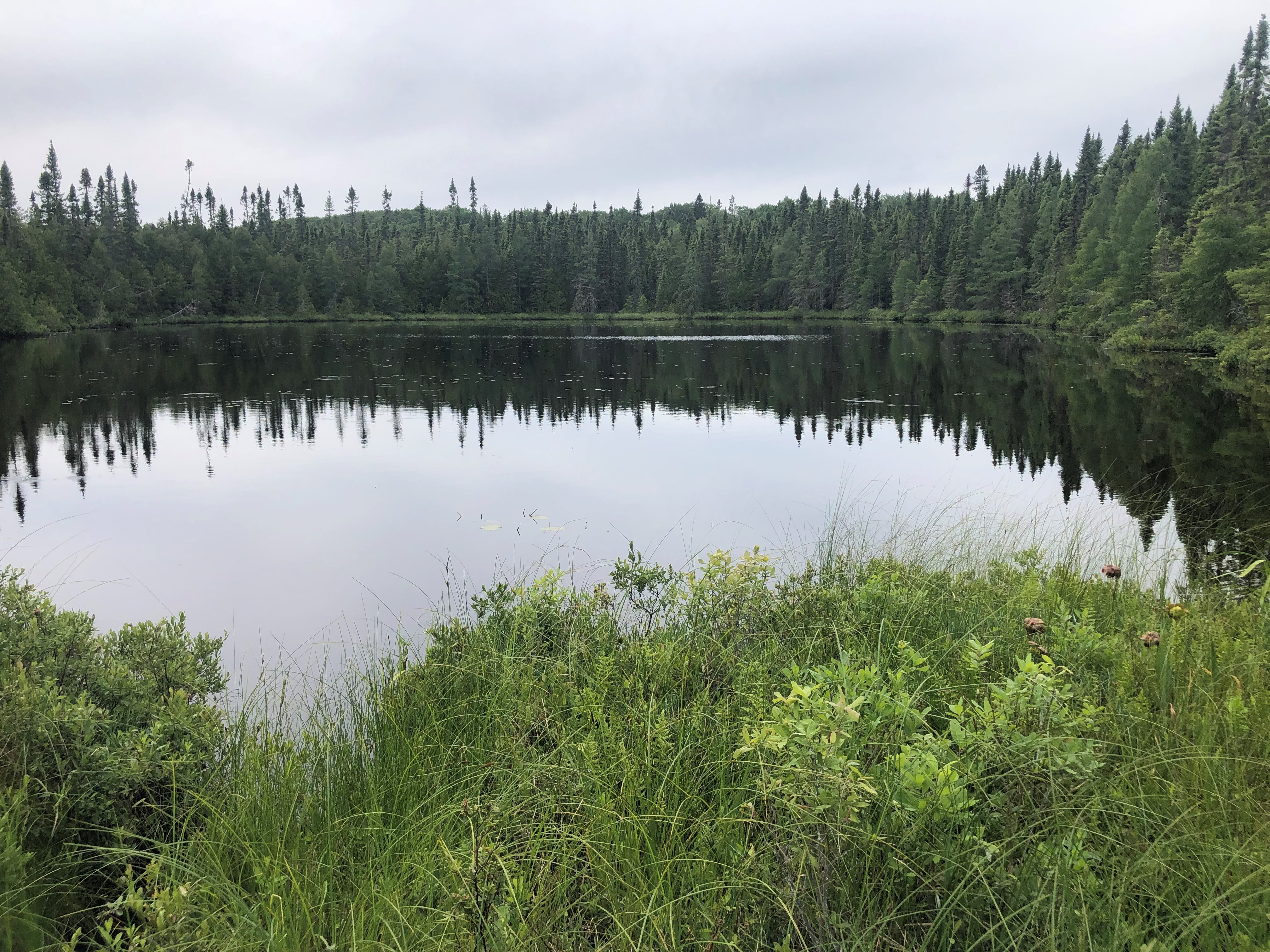 Tiny Bog Lookout in White Lake Provincial Park. • Credit: Ontario Parks