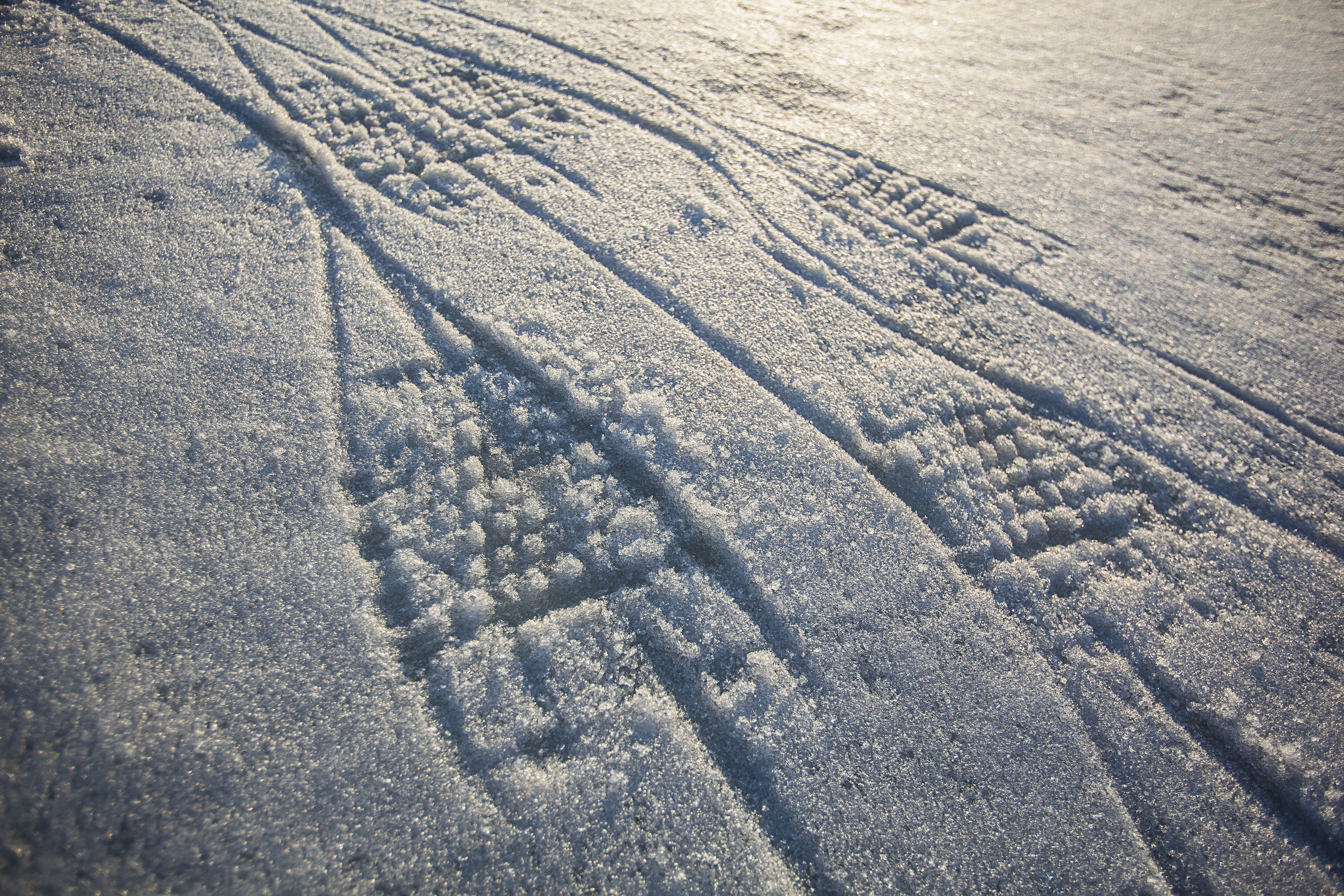 Snowshoe tracks in fresh snow. • Credit: Destination Ontario