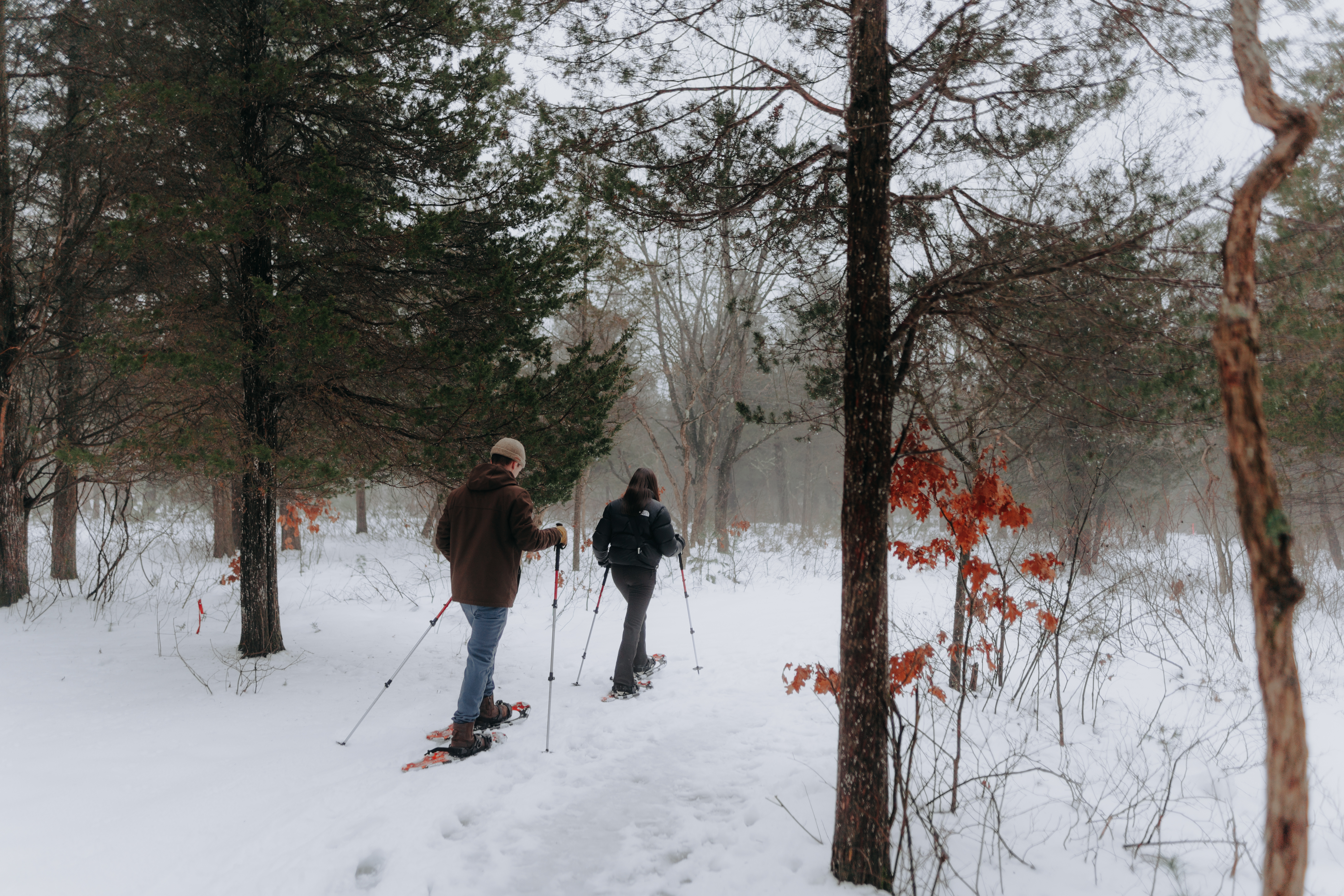 Snowshoe adventures through a foggy forest. • Credit: Grand Bend Productions | Destination Ontario