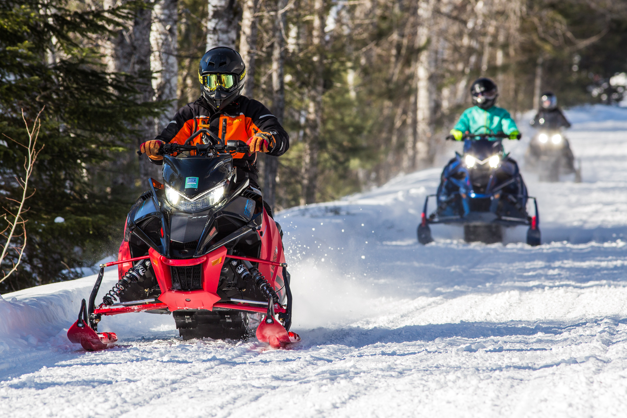 a line of snowmobilers ride along a snowy forest trail on a sunny day, kicking up sparkling power behind them.