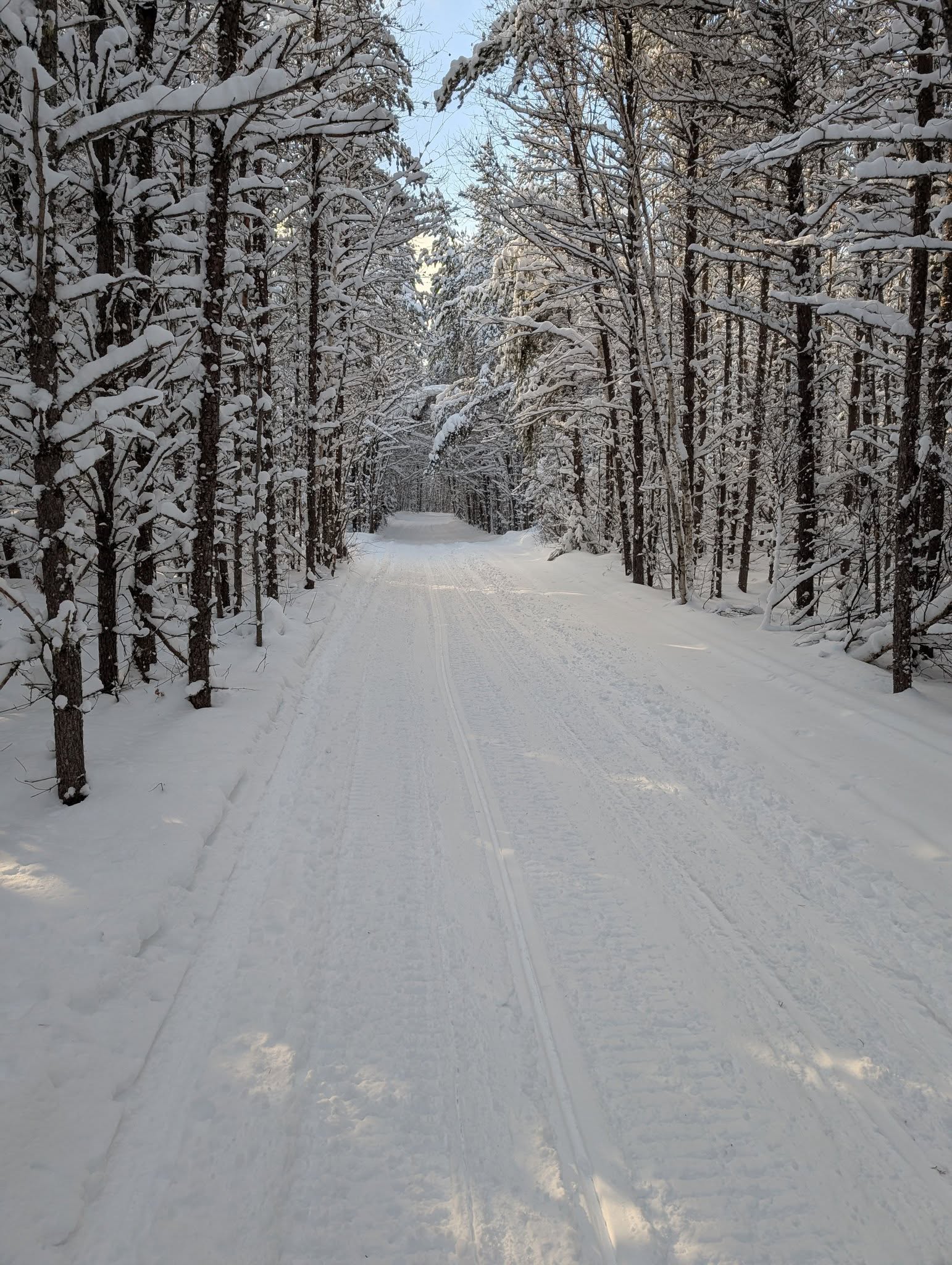 Snowy trails.