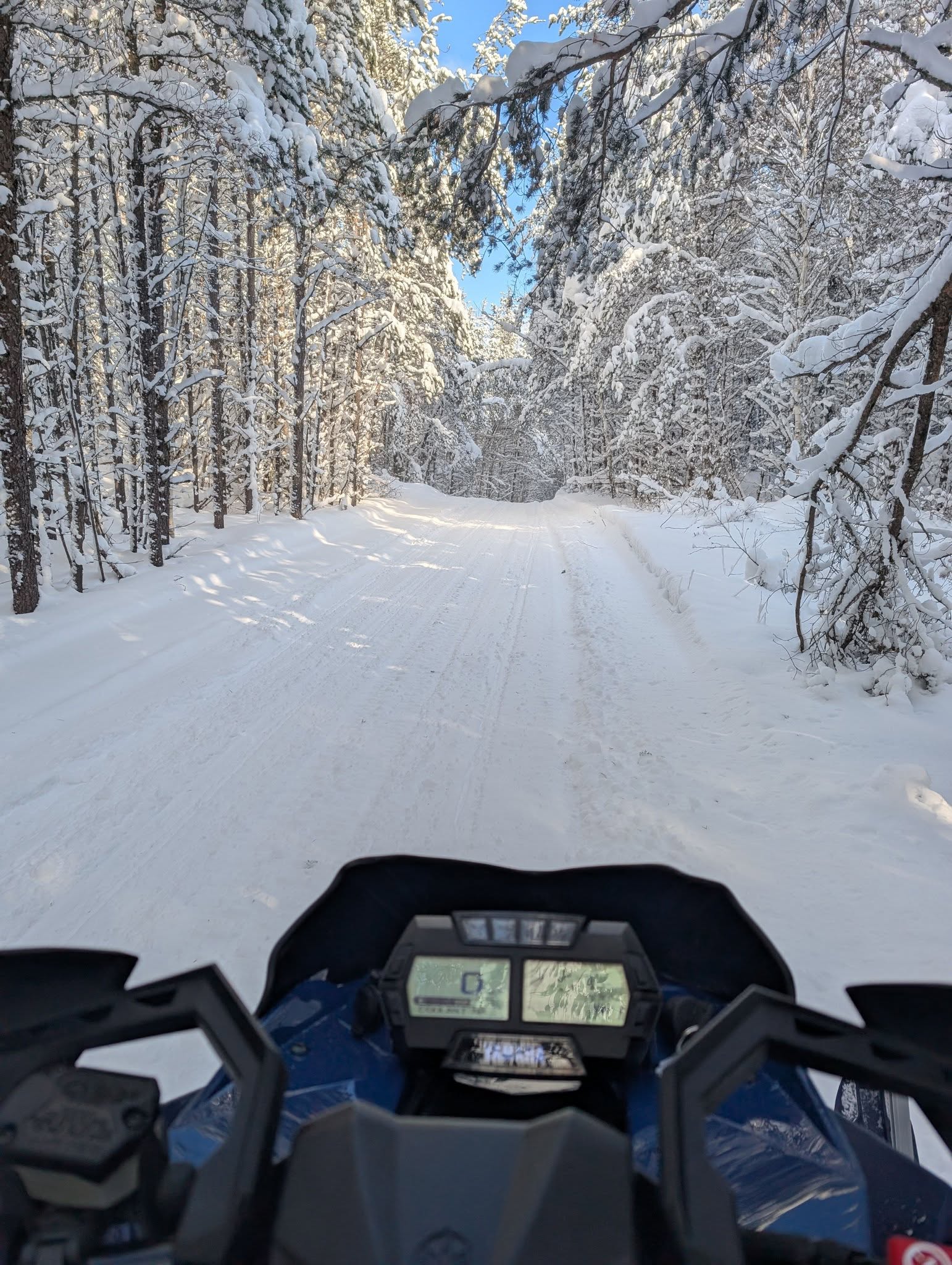 A snowy trail.