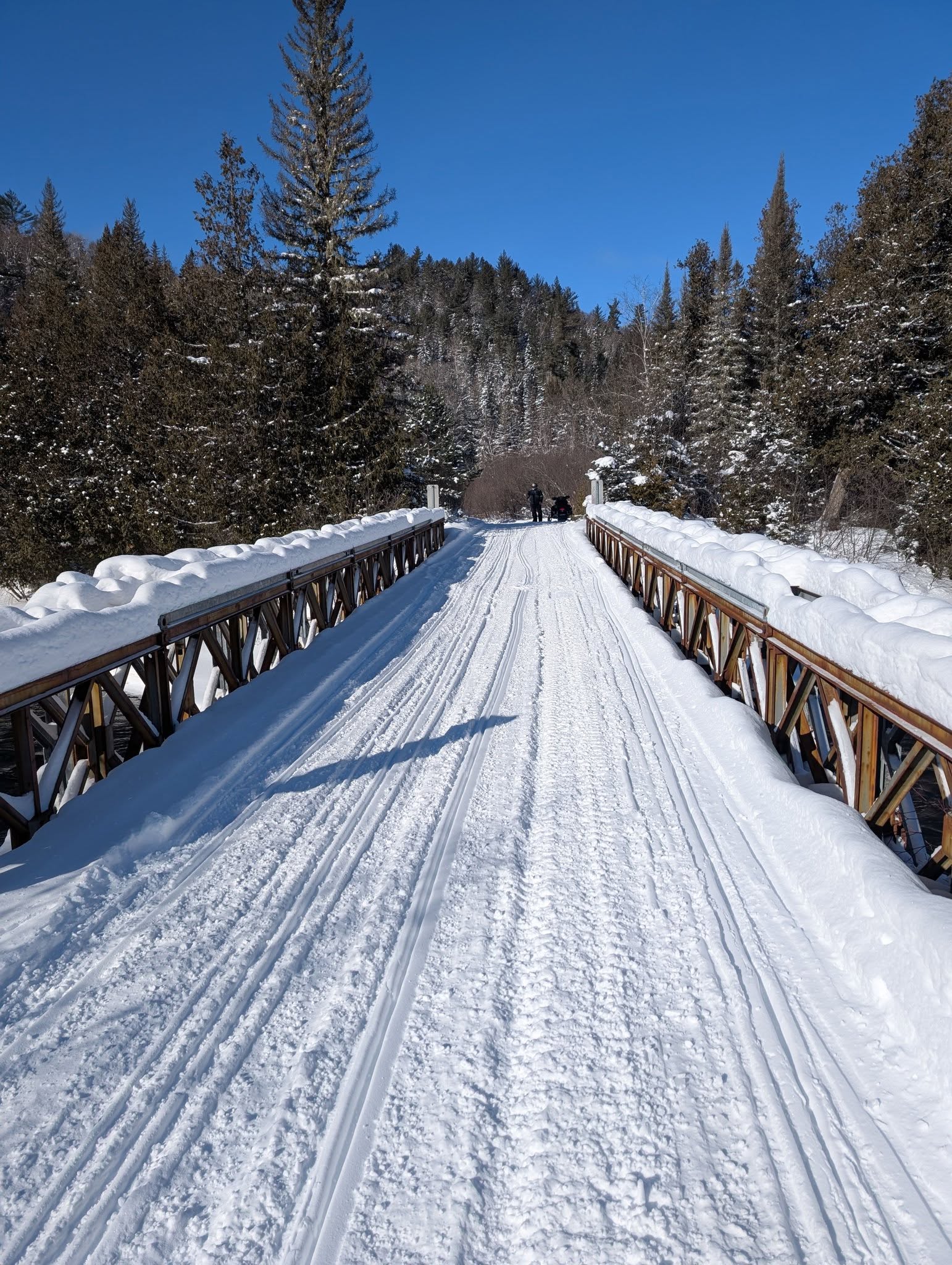 Snowy trails.