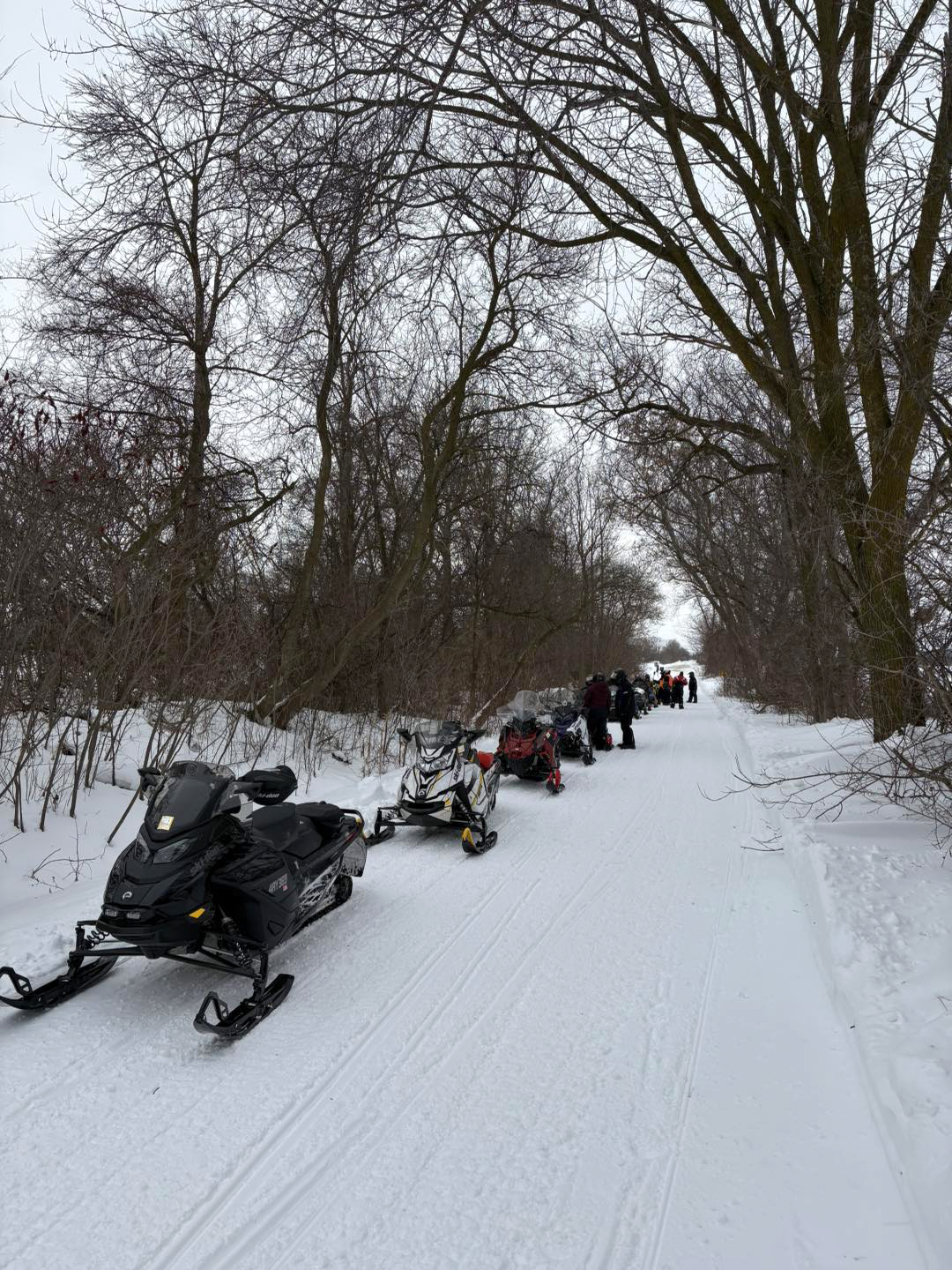 Barrie Snowmobile club trails feb 2025