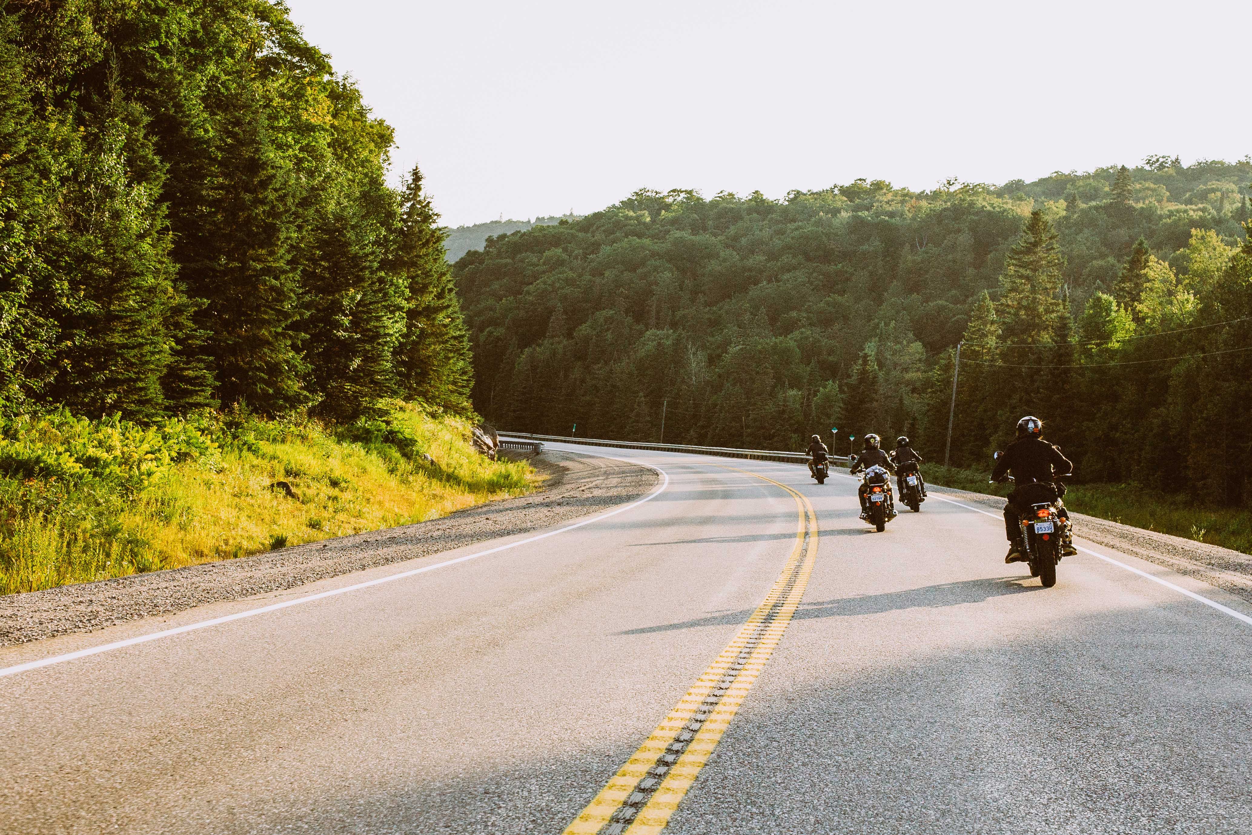 a group of motorcyclists driving down a paved two lane highway through dense green boreal forest on a sunny day. 