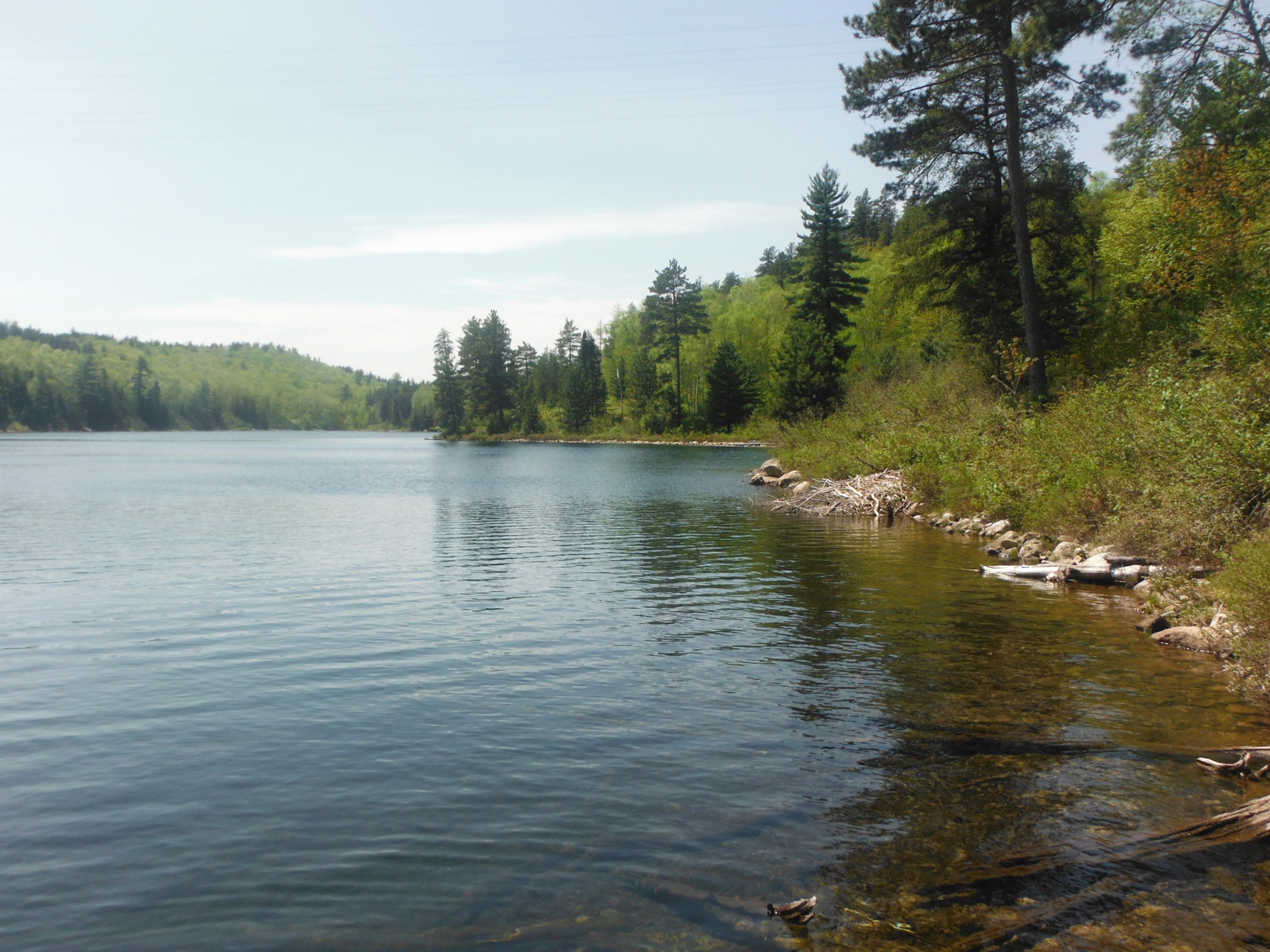 Calm lake