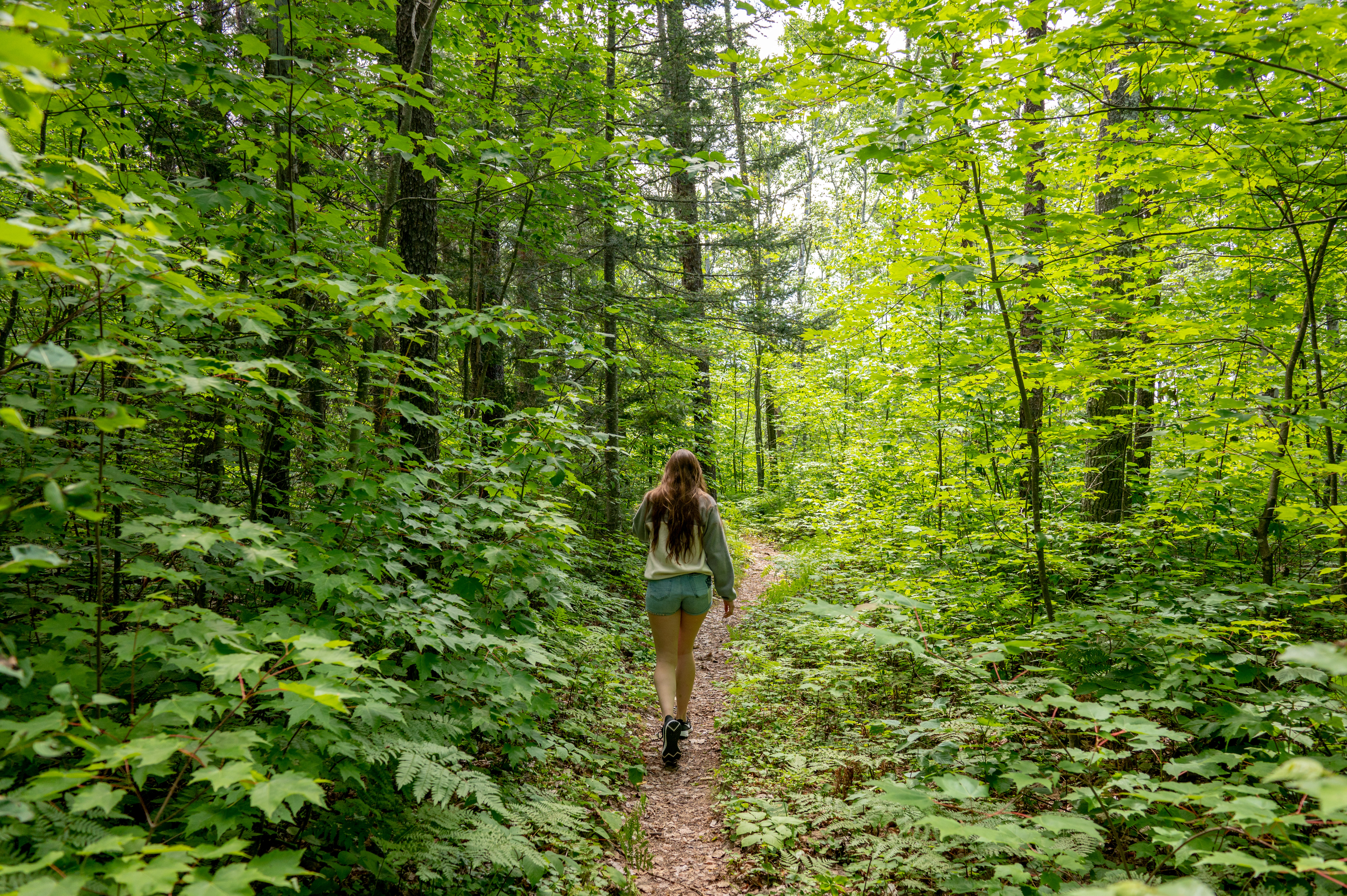 Hiking the woods at Windy Lake Provincial Park.  • Photo: Ontario Parks