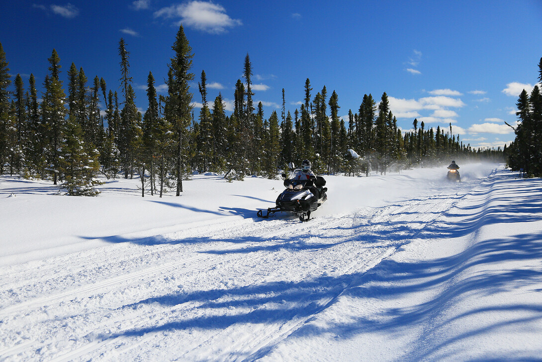 Snowmobilers ride along a forest trail on a sunny winter day.