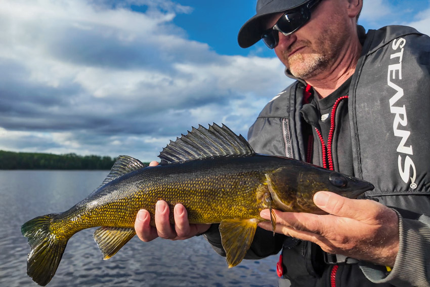 angler holding walleye