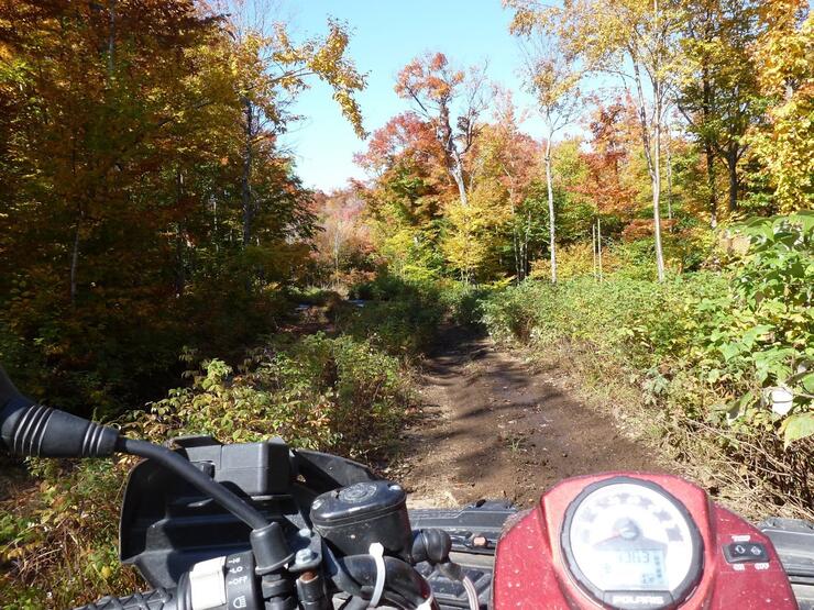 an ATV drives down a forested trail on a sunny day.