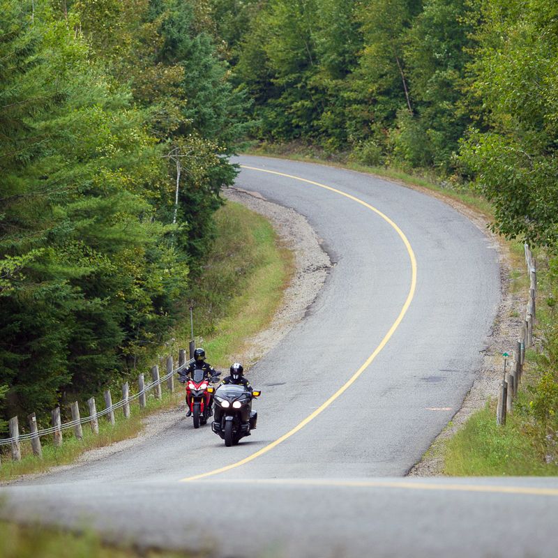 two motorcyclists ride along a winding road surrounded by green forest near Calabogie Ontario.