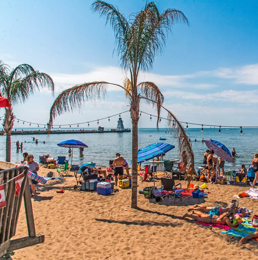 a sandy beach with palm trees and blue sky, covered with sunbathers in Norfolk County, Ontario.