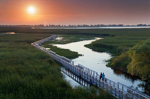 Point Pelee National Park; two people walk on a long boardwalk stretching to the horizon, through a lush green wetland under an orange summer sunset.