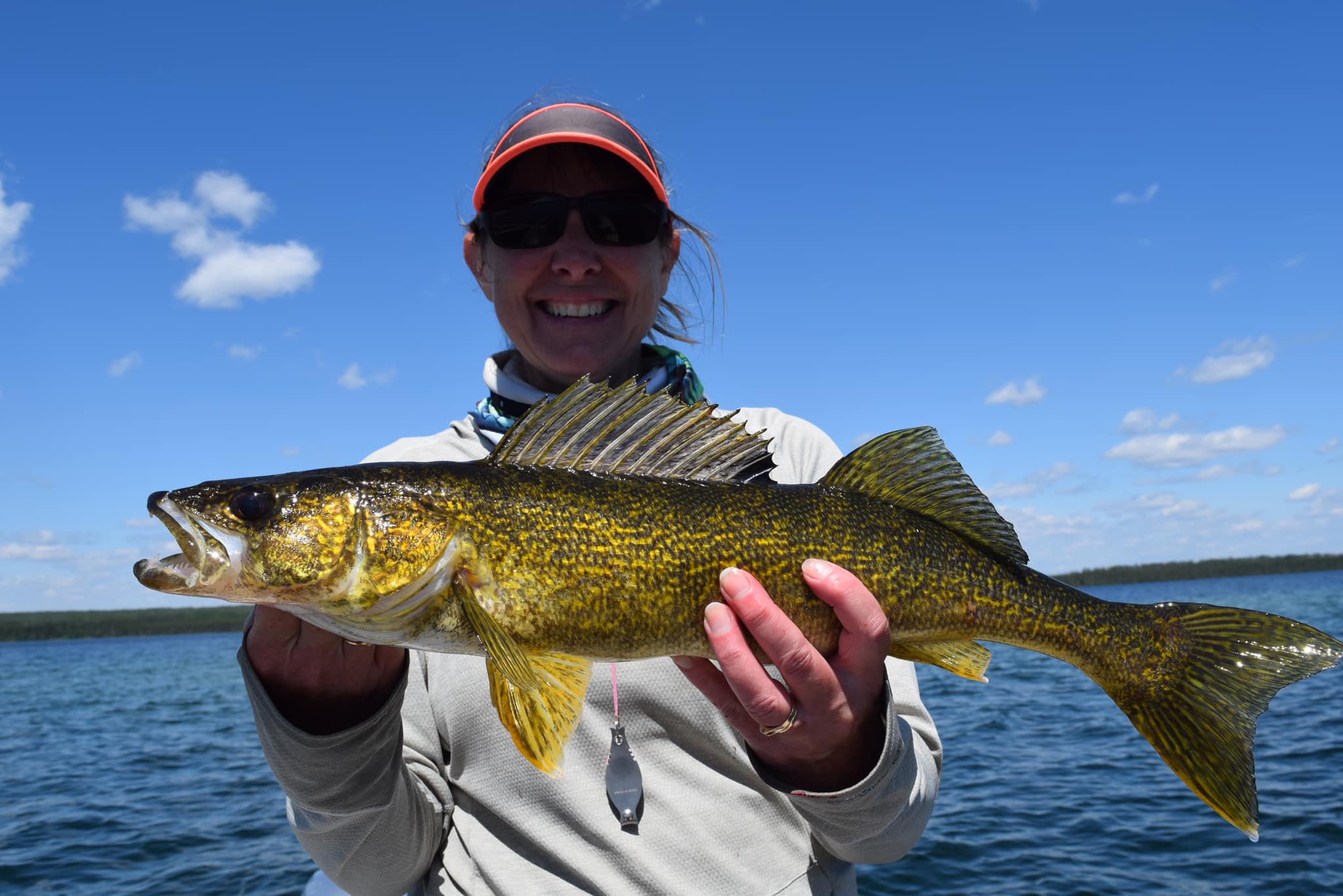 a smiling woman holds up a walleye on a blue summer day.