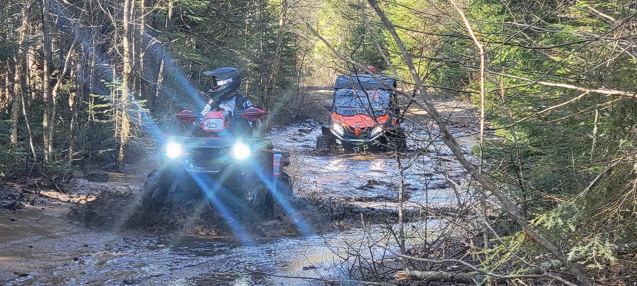 two ATVs drive through a deep muddy stream in the middle of a forest.