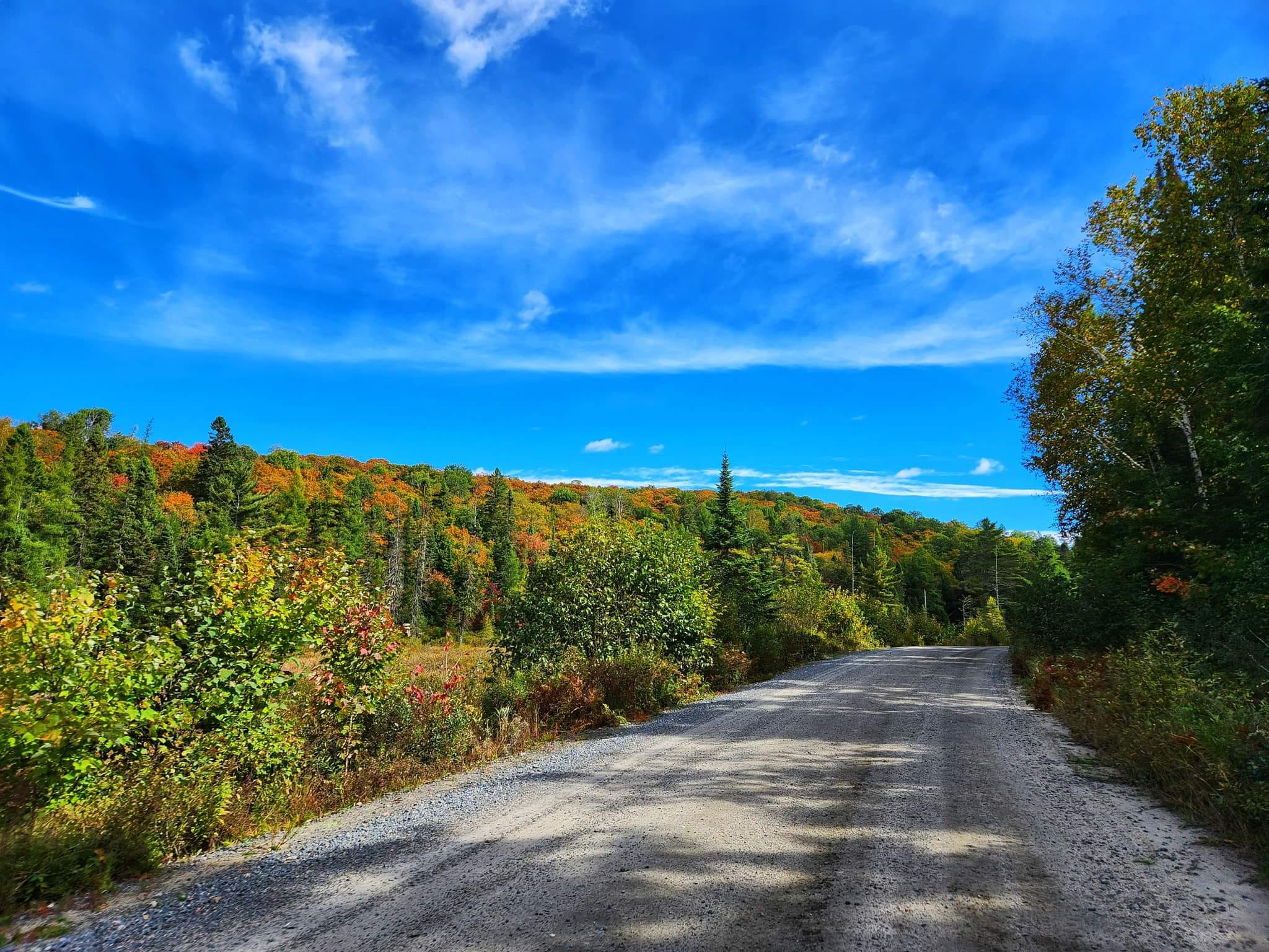 a gravel ATV trail through green forest under a bright blue sky.