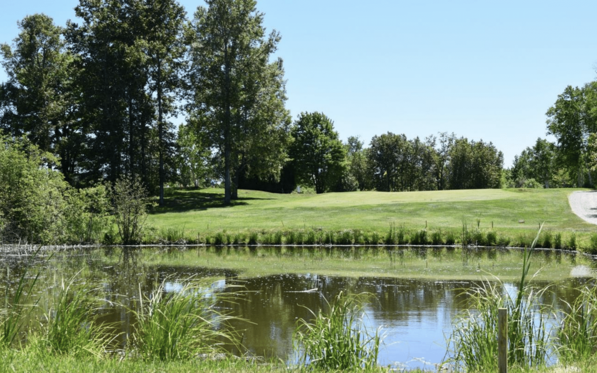 a green golf course on a clear blue summer day.