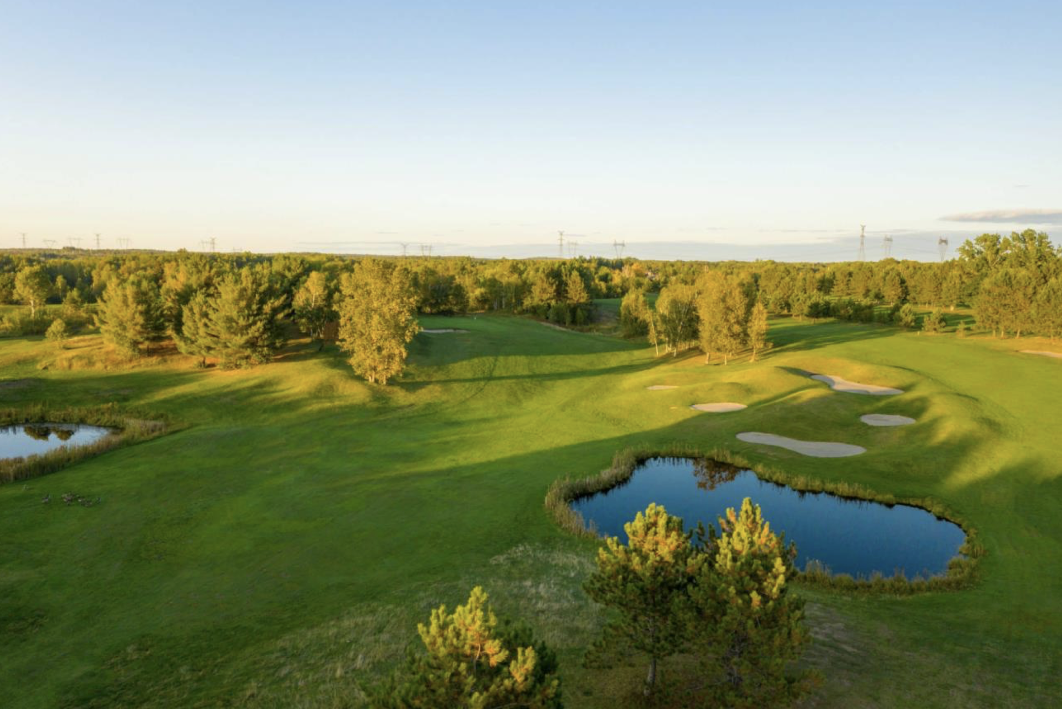 a smooth green golf course dotted with trees and shining ponds under a clear blue summer sky.