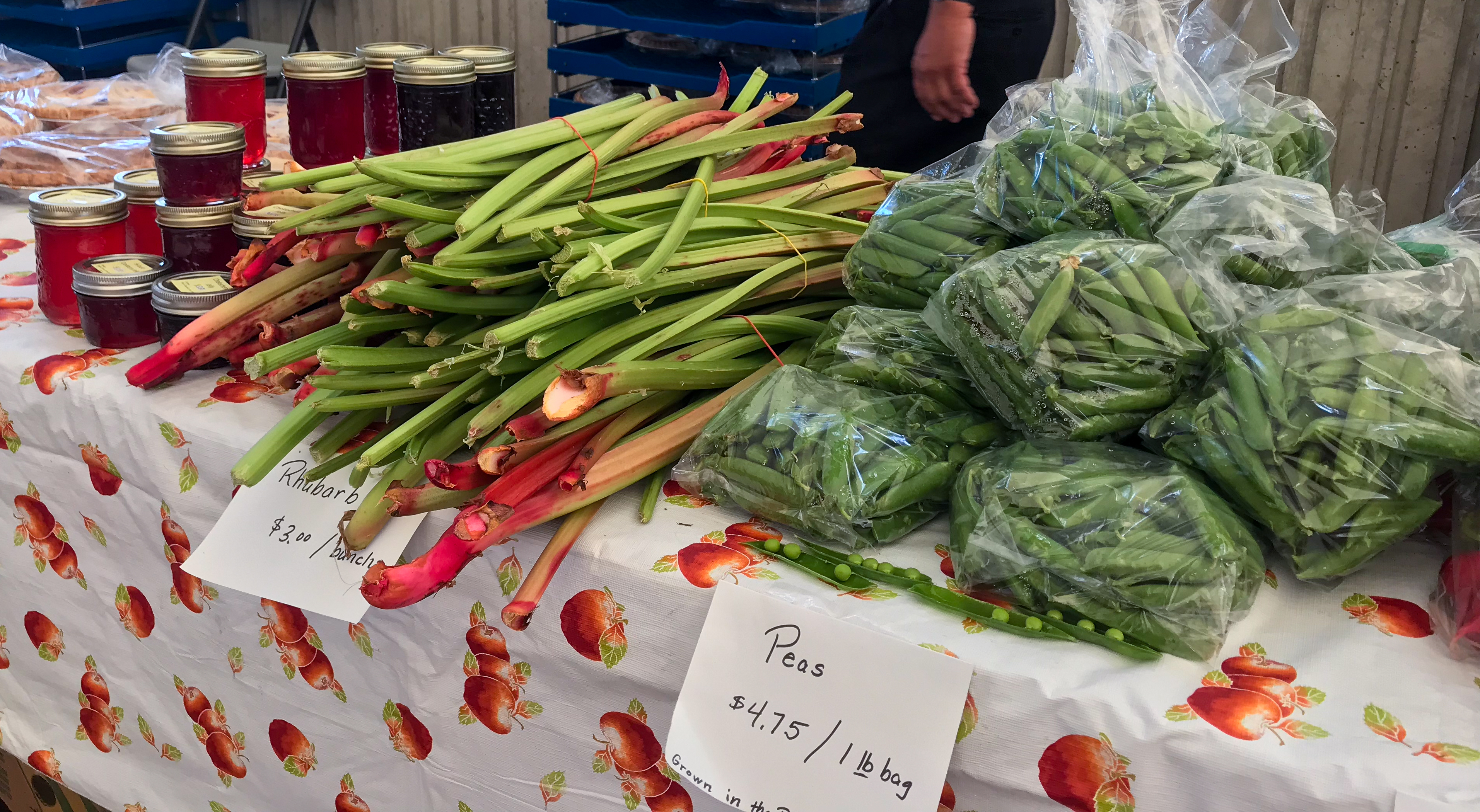 Matiowski Farmer's Market in Kenora, Ontario
