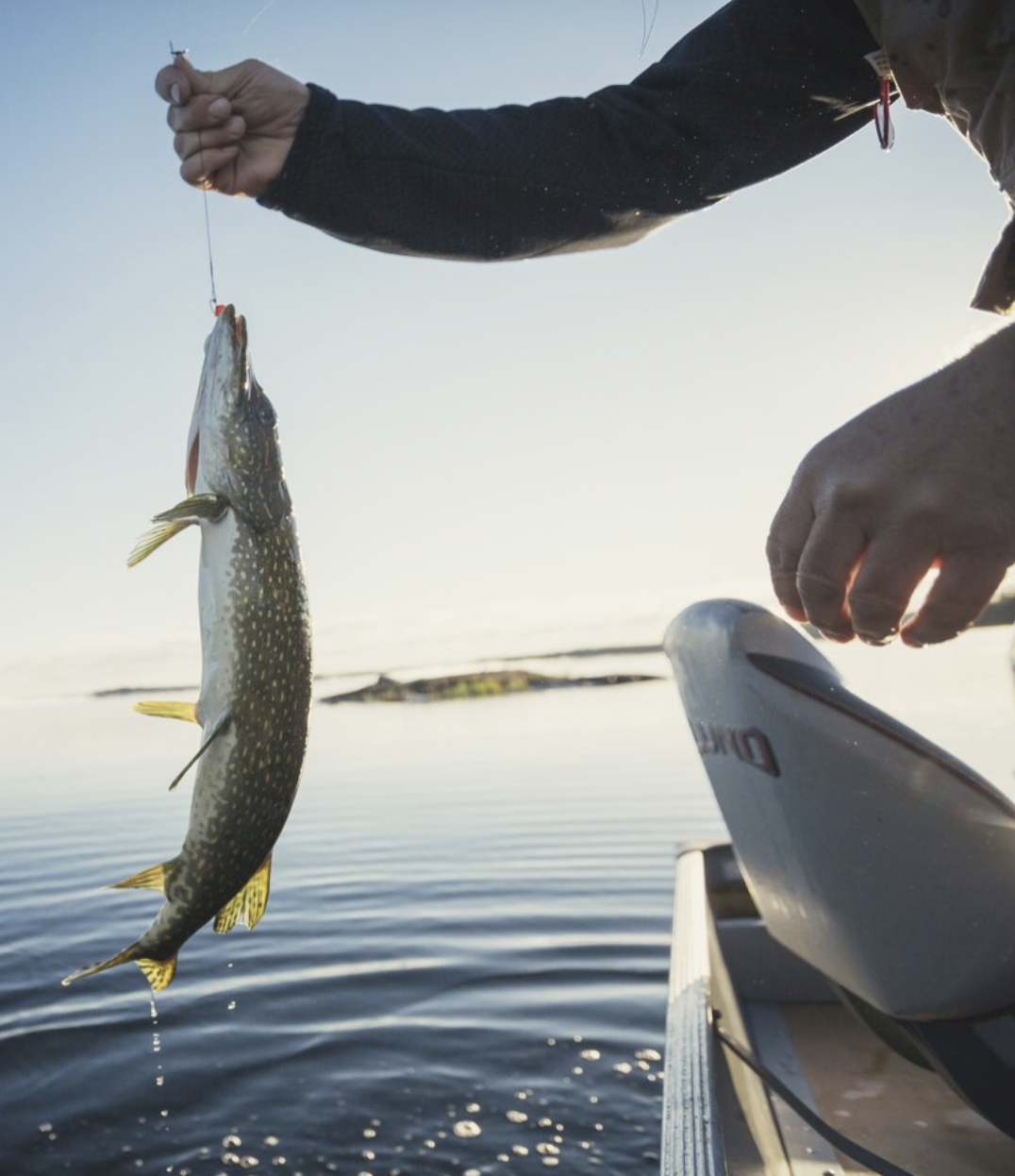 Fish ON