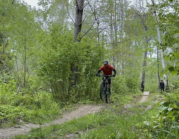 a person on a mountain bike goes over a jump on a lush green forest trail.