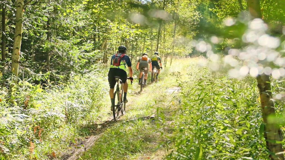 Three people riding bikes through the woods