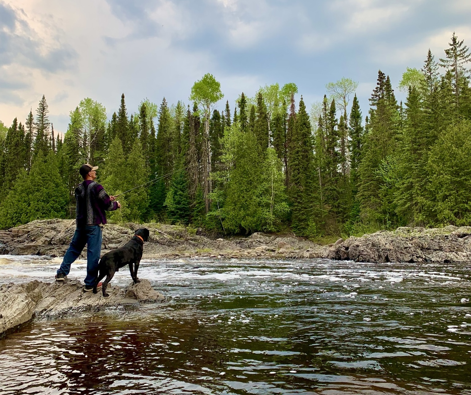 a man fishing in a peaceful river in the forest with a large dog standing next to him. 