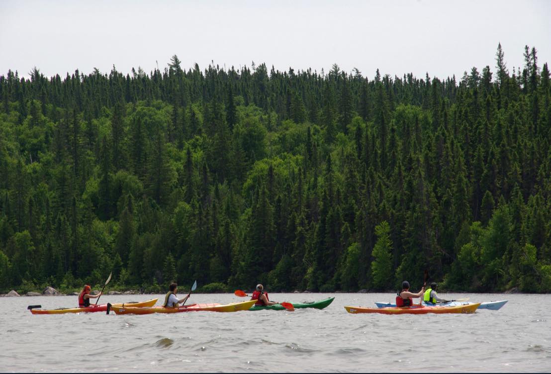 A row of kayakers paddle in the distance on a cool lake surrounded by thick green forest.