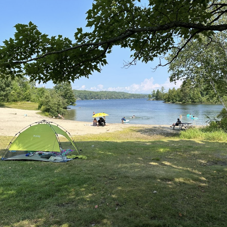 Birchaven Cover Trout Lake