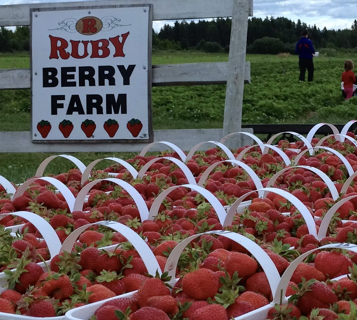 Ruby Berry Farm