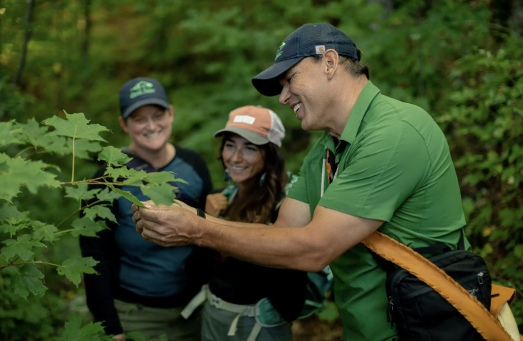 Guided forest hike with Thrive Tours