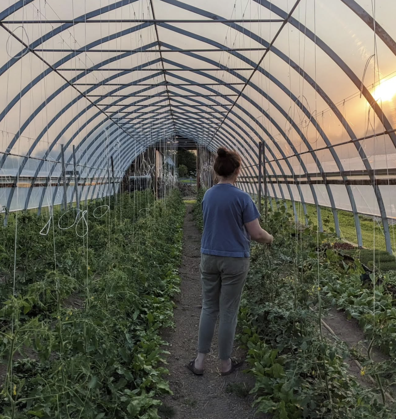 Valleyfield Farm – Echo Bay