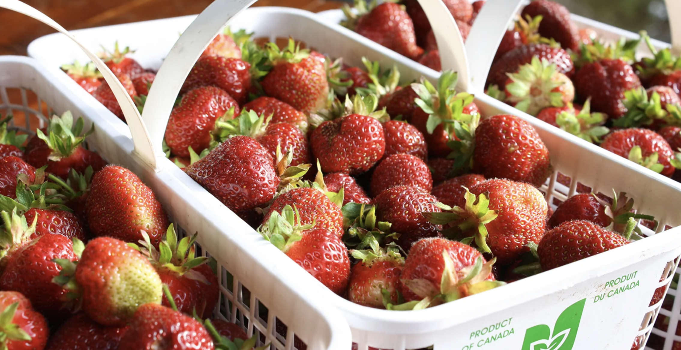 Baskets of Thomson Farms Strawberries