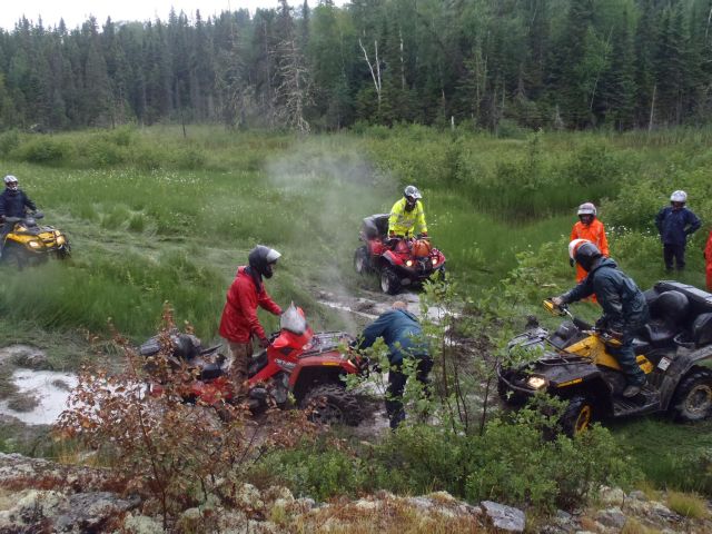 ATVers ride together through a boggy green field edged by boreal forest.