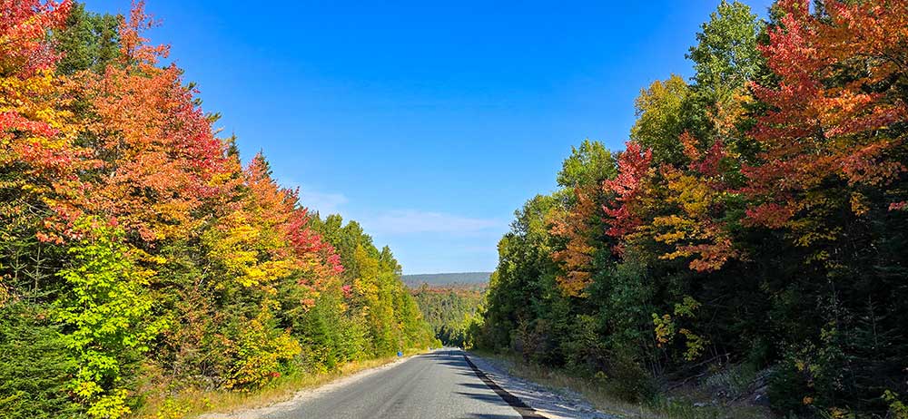 fall colours along the algoma roadways