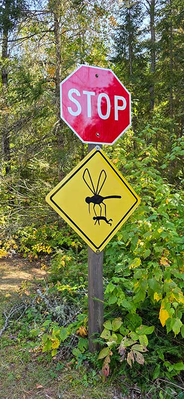 mosquito sign