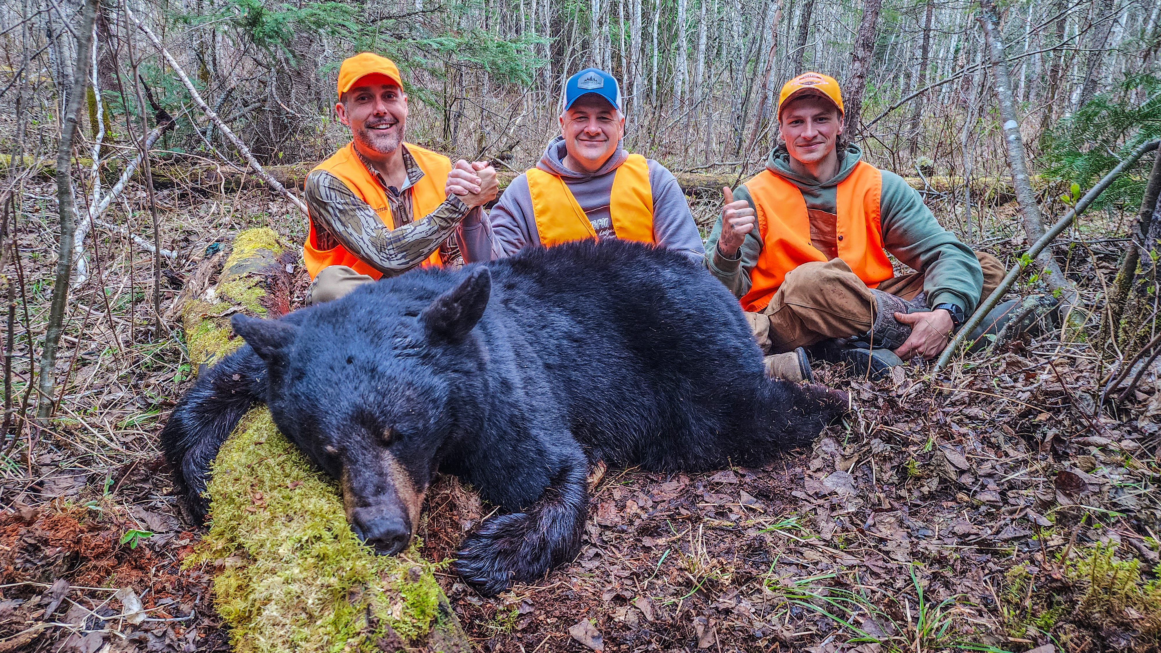 black bear trophy shot