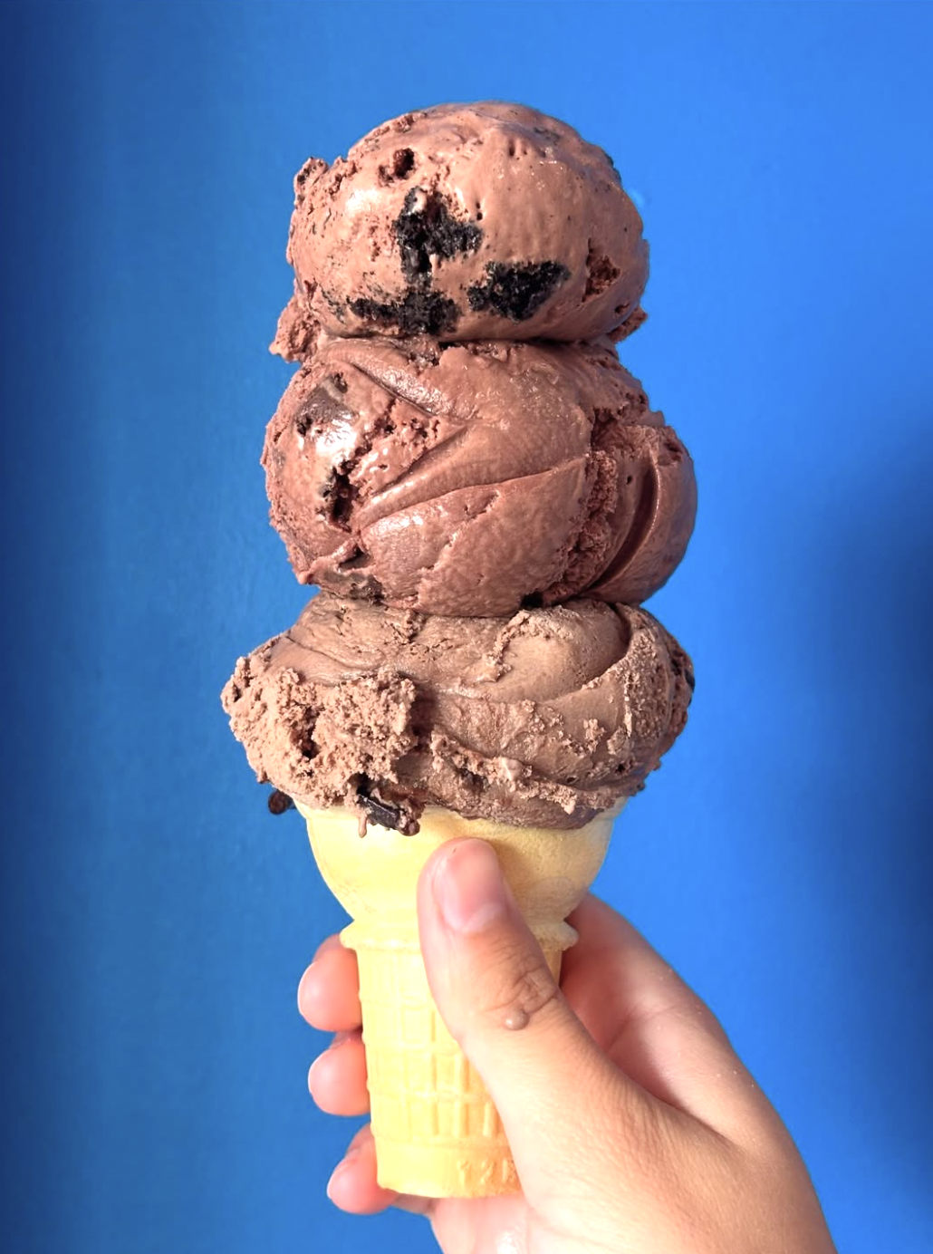 Holy Cow Ice Cream Parlour