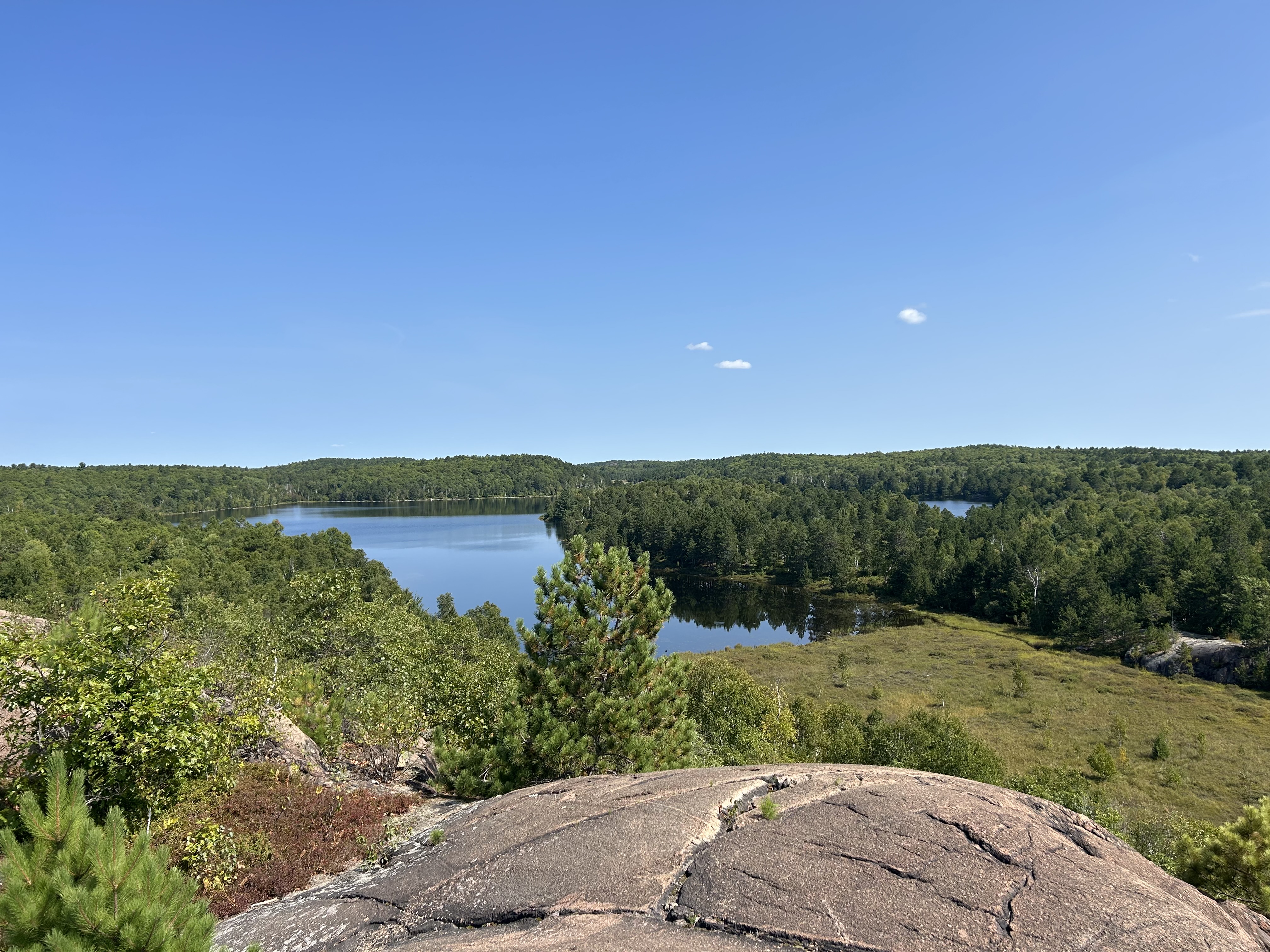 Kivi Park Linton Lake Trail lookout