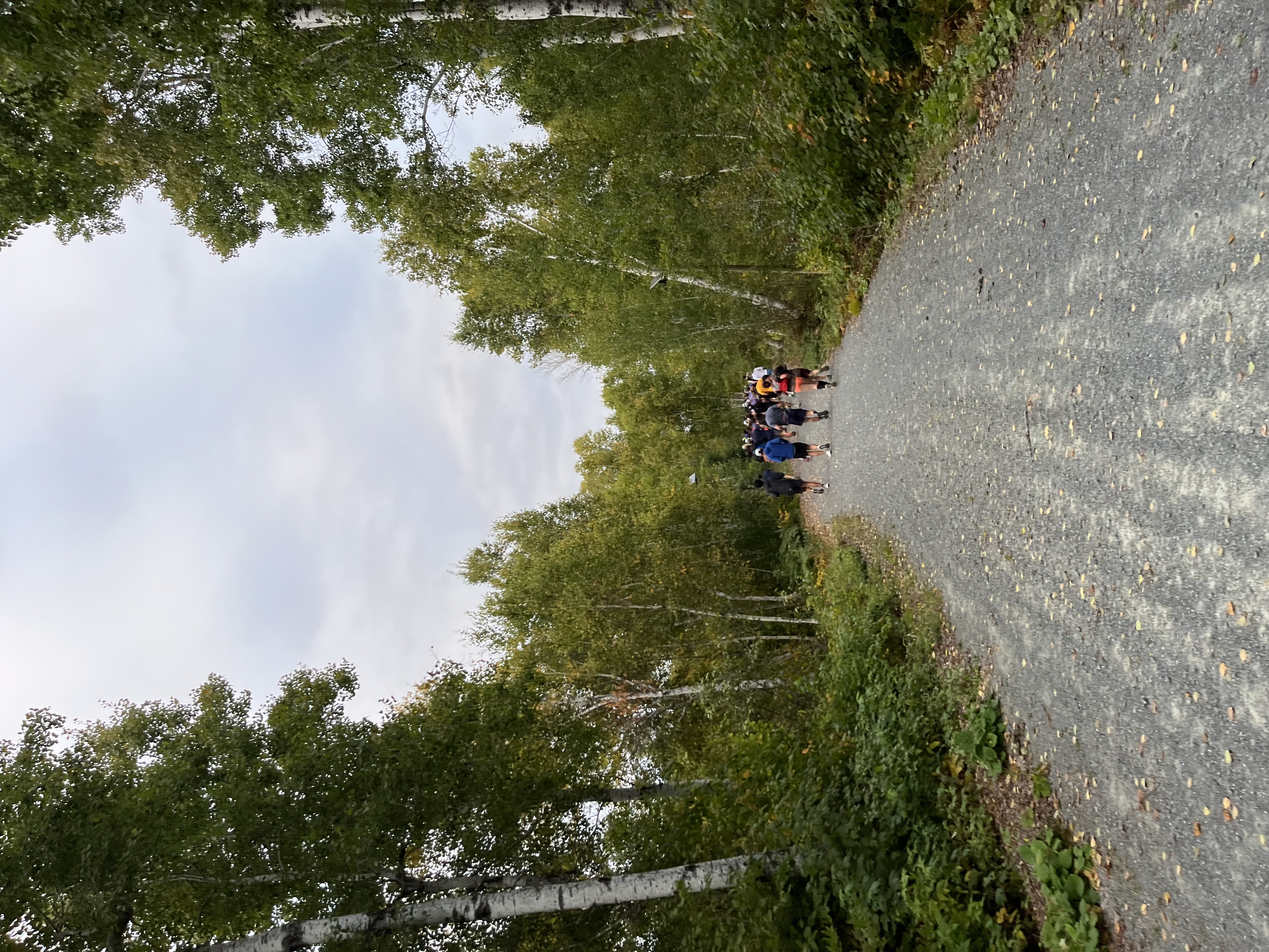 Runners on trail