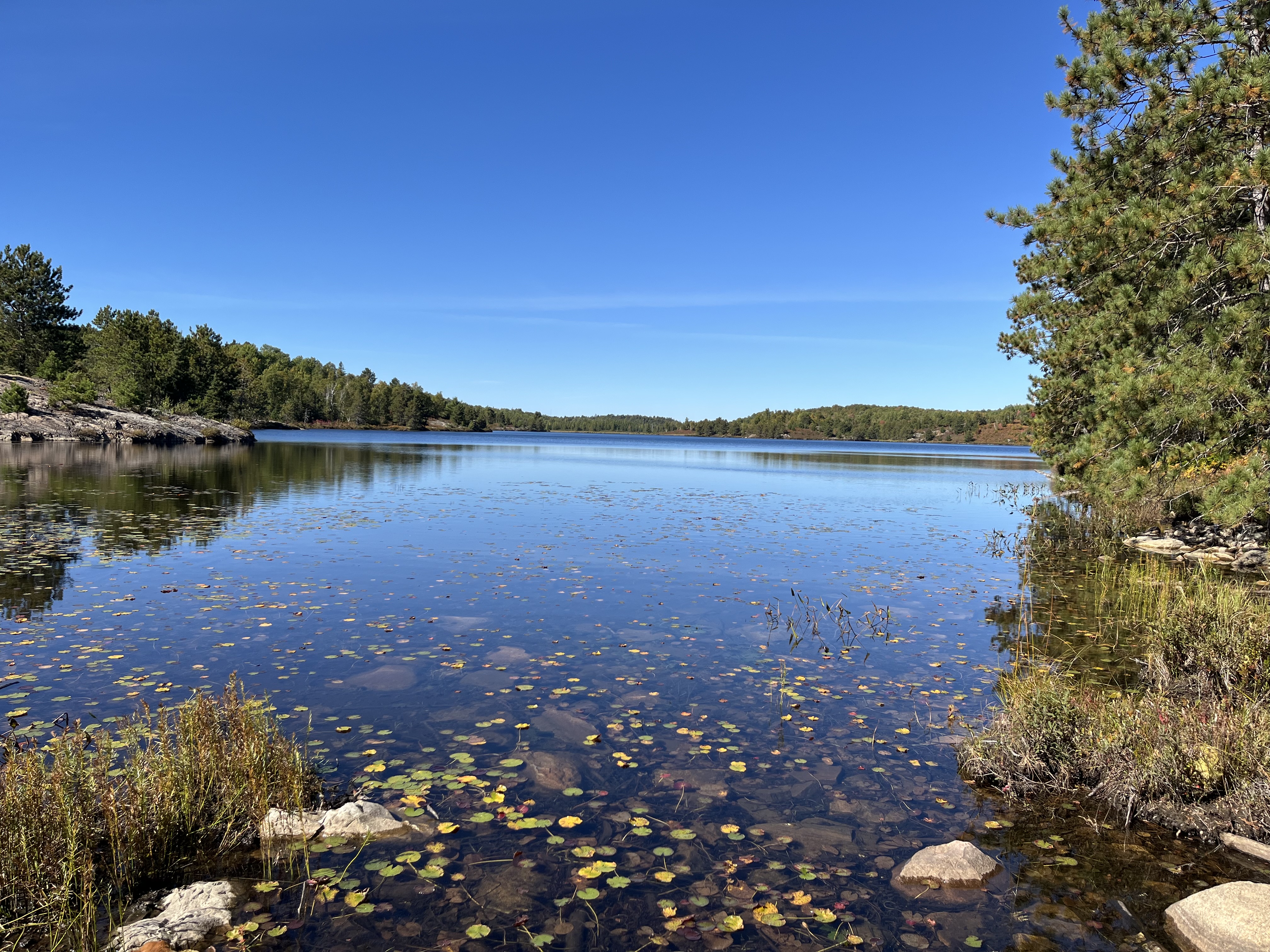 Lake view