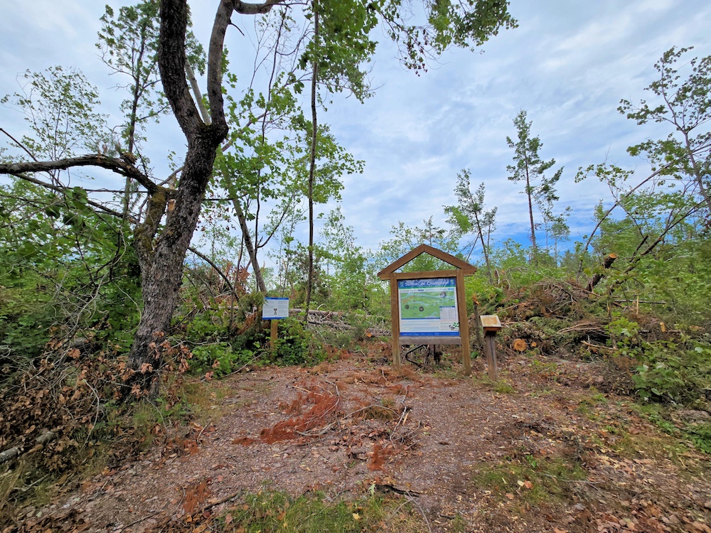 fallen trees all around trailhead sign